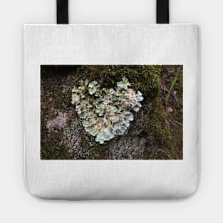 Heart shaped Lichen Tote