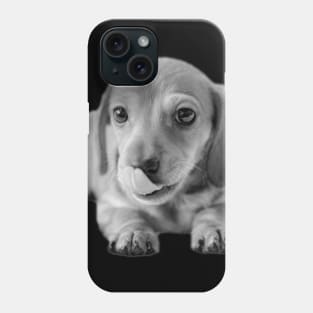 Dachshund Puppy Licking Lips Phone Case