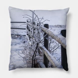 Winter Wonderland in -30C Pillow