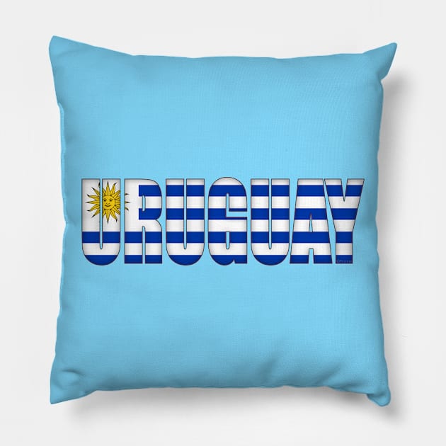 Uruguay Pillow by SeattleDesignCompany