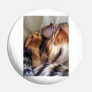 Sleepy cat Pin