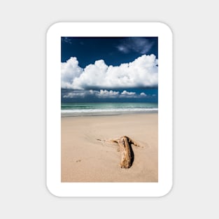 Beach driftwood and dark blue sky Magnet