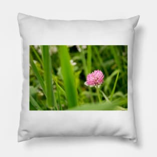 fli clover Pillow