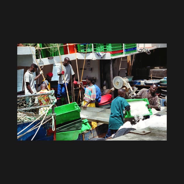 Fishermen at Work, Hout Bay Harbour, South Africa by Carole-Anne