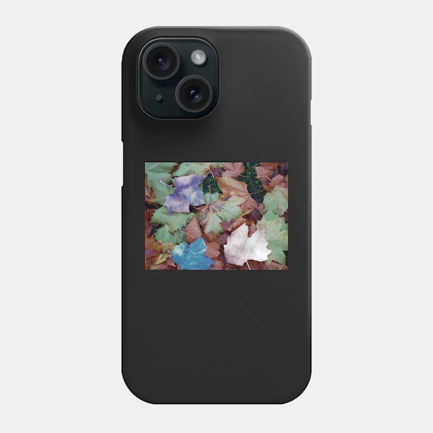 Fallen leaves Phone Case by princess-pirate