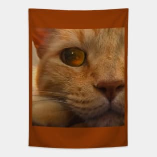 Orange Tabby Cat Eye Tapestry