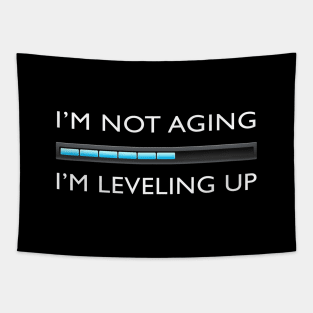 I’m Not Aging. I’m Leveling Up. Funny Gamer Tapestry