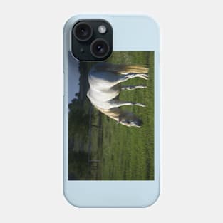 Heaven on Earth Phone Case