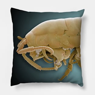 Alien Scary Sci Fi Creature Monster Scifi Pillow