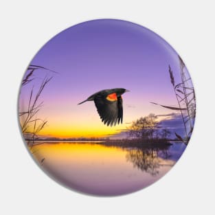 Red Winged Blackbird in Flight Pin