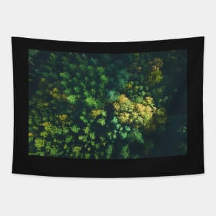 Aerial view of color autumn forest Tapestry