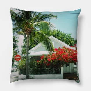 Palm tree photo Key West Florida blue sky palmtree landscape USA nature lovers Pillow