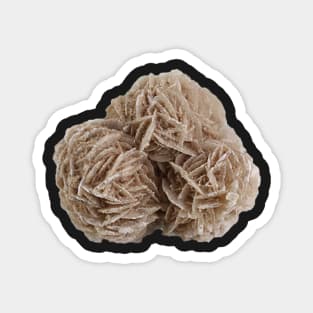 Desert Rose Selenite Mineral Sample Magnet