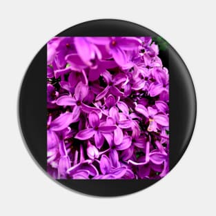 Purple Lilac Blossoms Pin