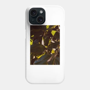 Photo of magnolia leaves in the sun Phone Case