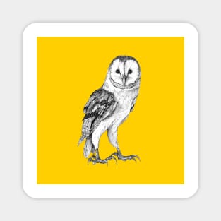 Barn Owl - Drawing In Black Pen On Vintage Yellow Magnet