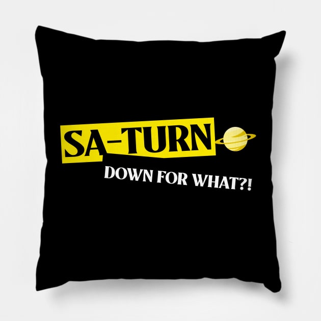 Partying - Sa-Turn Down for What?!! Pillow by Expanse Collective