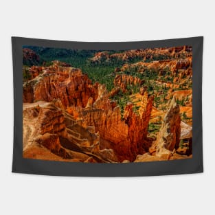 Bryce Canyon National Park Tapestry