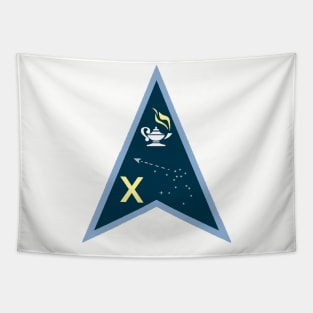 Space Force Delta 10 Logo Tapestry