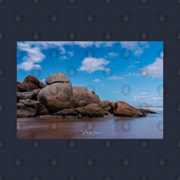 Whisky Bay, Wilson's Promontory National Park, South Gippsland. by VickiWalsh