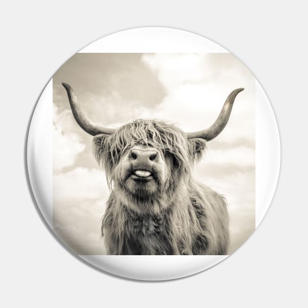 Cheeky Highland Cow Pin by wildtribe