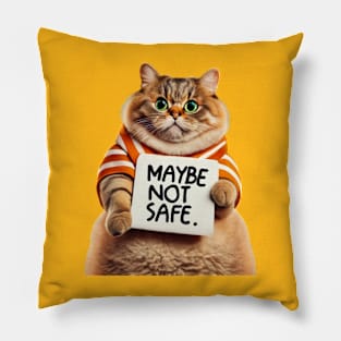 Maybe not safe Pillow