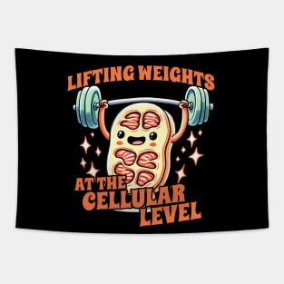 Lifting weights at the Cellular Level Biology Student Design Tapestry