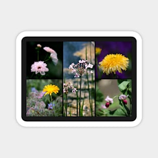 Floral Montage #2 Magnet