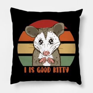 I is Good Kitty Funny Possum Pet - More than a Ugly Kitty Pillow