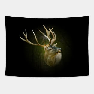 Red deer portrait Tapestry