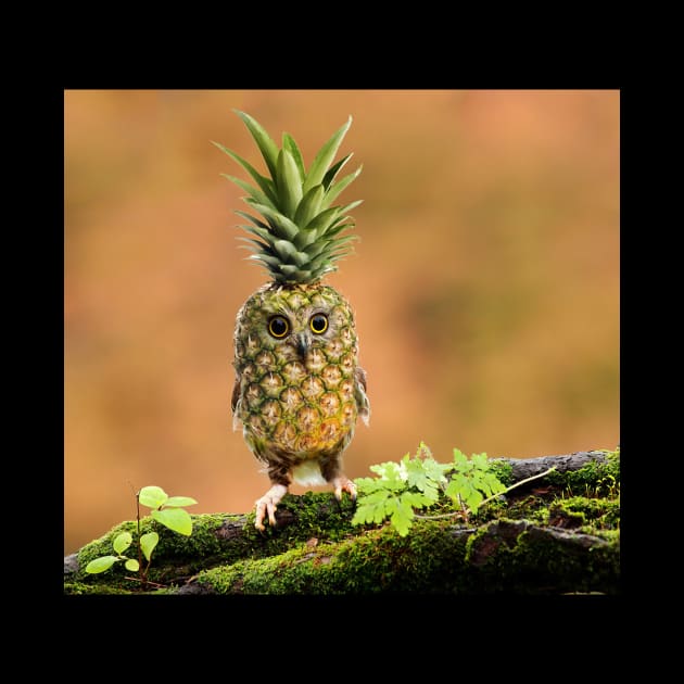 Pineapple Owl by Felfriast