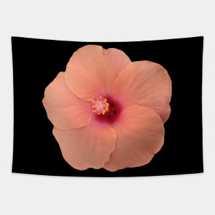 coral color flower, hibiscus, flowers, blossom, Tapestry