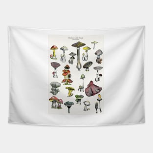 Mushroom and Fungi Tapestry