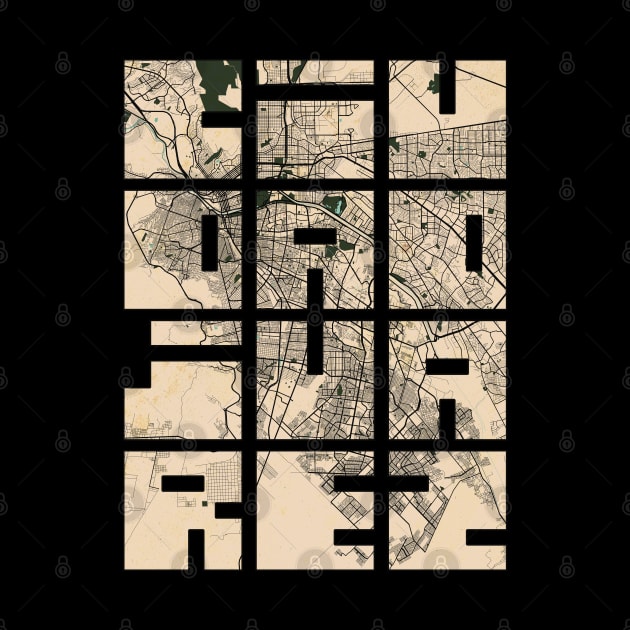 Ciudad Juarez, Mexico City Map Typography - Vintage by deMAP Studio