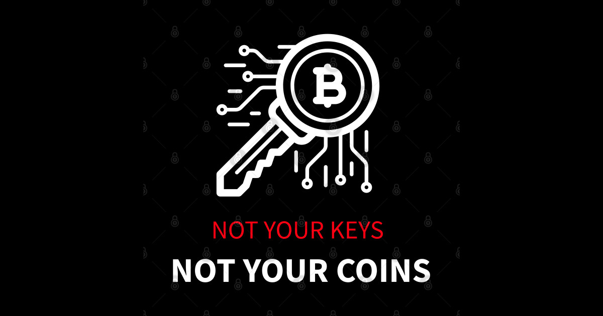 Bitcoin arroyo Not your keys not your coins