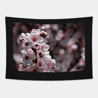 Japanese Cherry Tree (#1) Tapestry