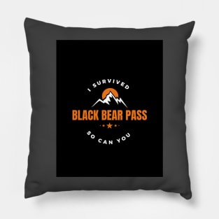 I survived Black Bear Pass Pillow