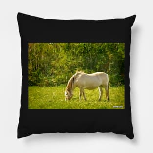 Horse Grazing Pillow