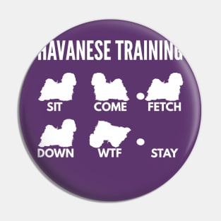 Havanese Training Havanese Dog Tricks Pin