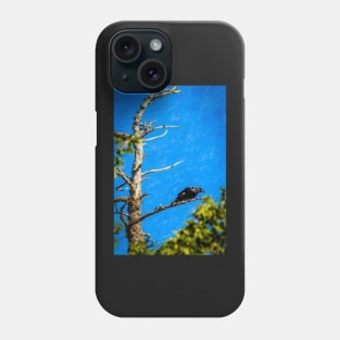 Crow in an Old Tree Phone Case