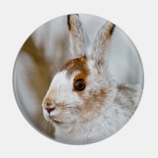 Snow Shoe Hare Pin