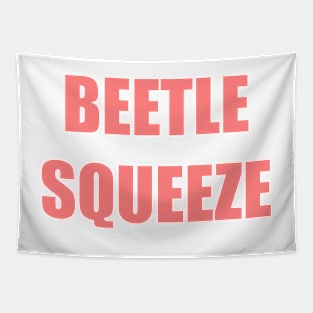 Beetle Squeeze iCarly Penny Tee Tapestry