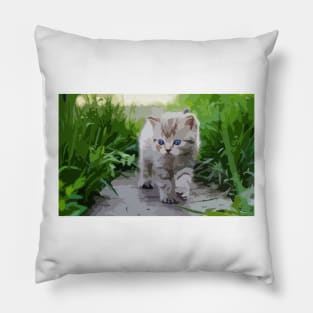 American Shorthair Kitten Digital Painting Pillow