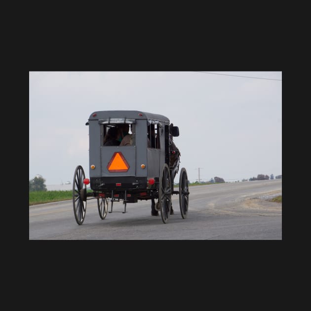 amish buggy by sma1050