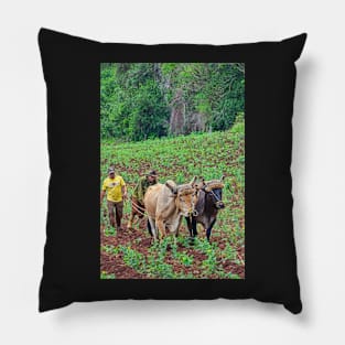 Farmers, Vinales, Cuba Pillow