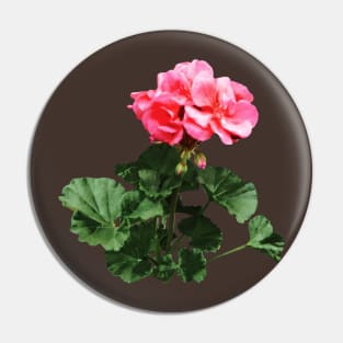 Geraniums Standing Tall Pin