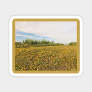 Yellow Grassland No.2 Magnet