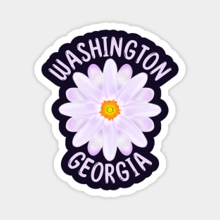 Washington Georgia Magnet