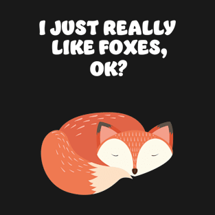 Fox Foxes Sleep Sleeping Watercolor Polygon Idea T-Shirt