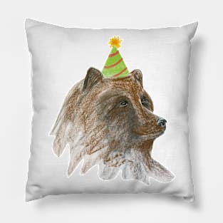 Party Bear Pillow